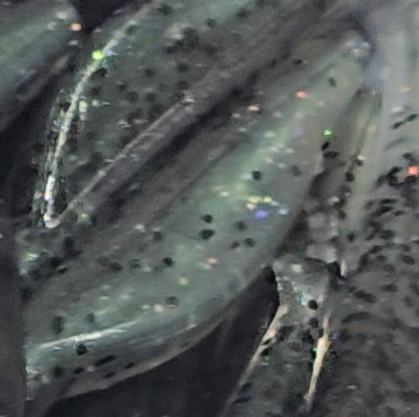 Hover Shad
