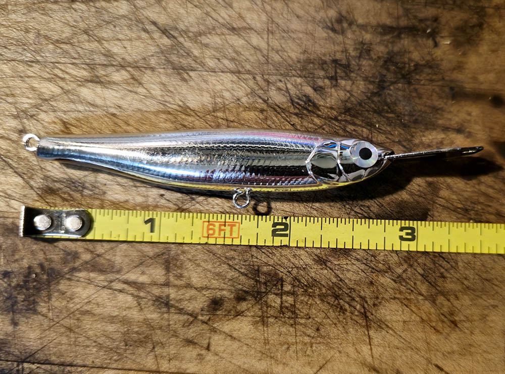 Maddie's Minnow