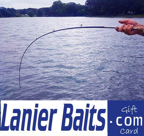 Lanier Baits Gift Card