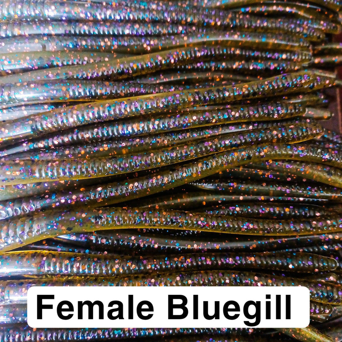 Finesse Worms 6"